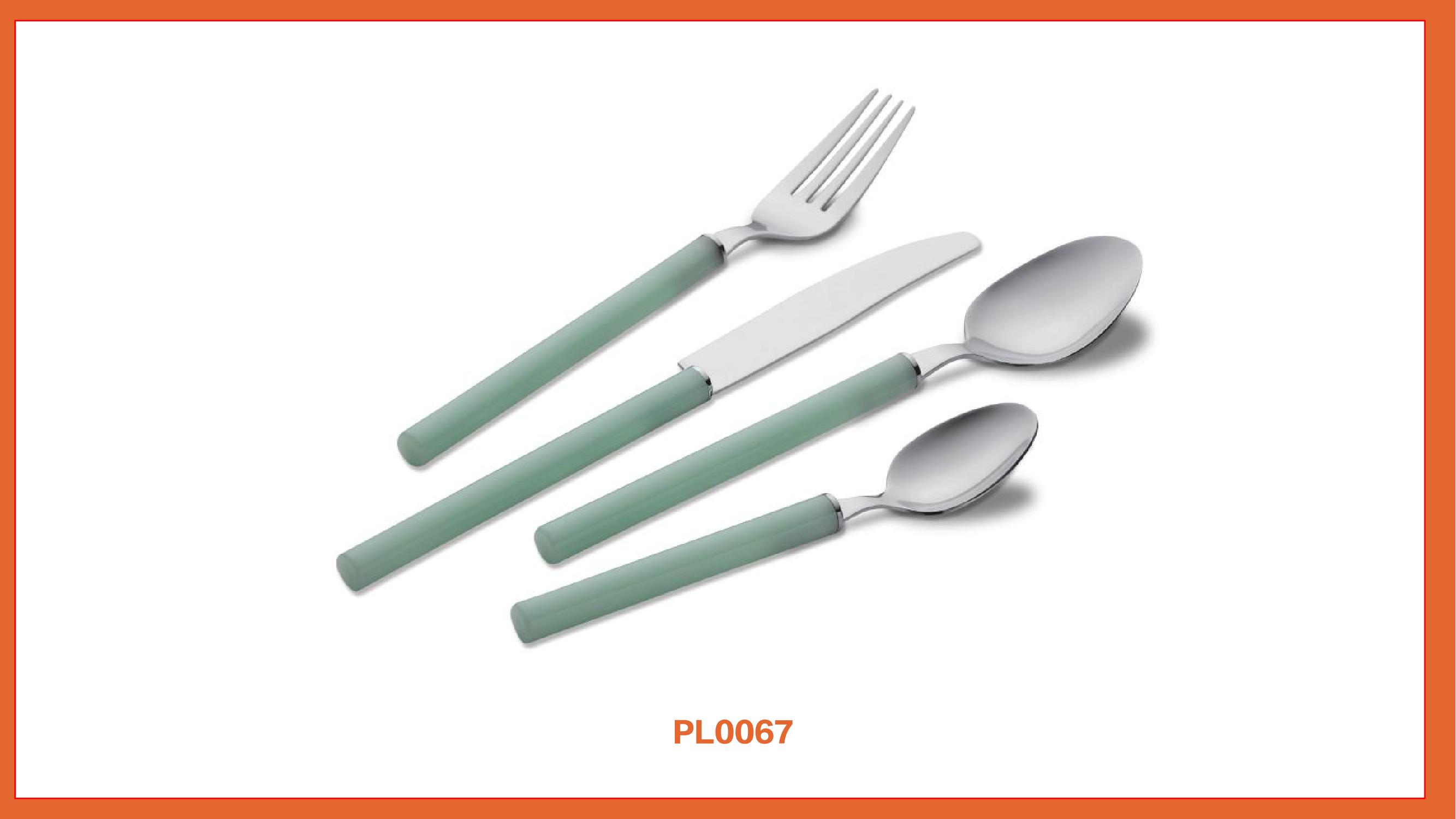 catalogue of plastic handle cutlery_13.jpg