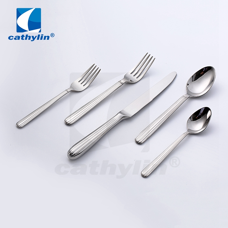 Cathylin 5- Pieces High Quality Stainless Steel Flatware,Silver Cutlery Set With Hollow Handle 