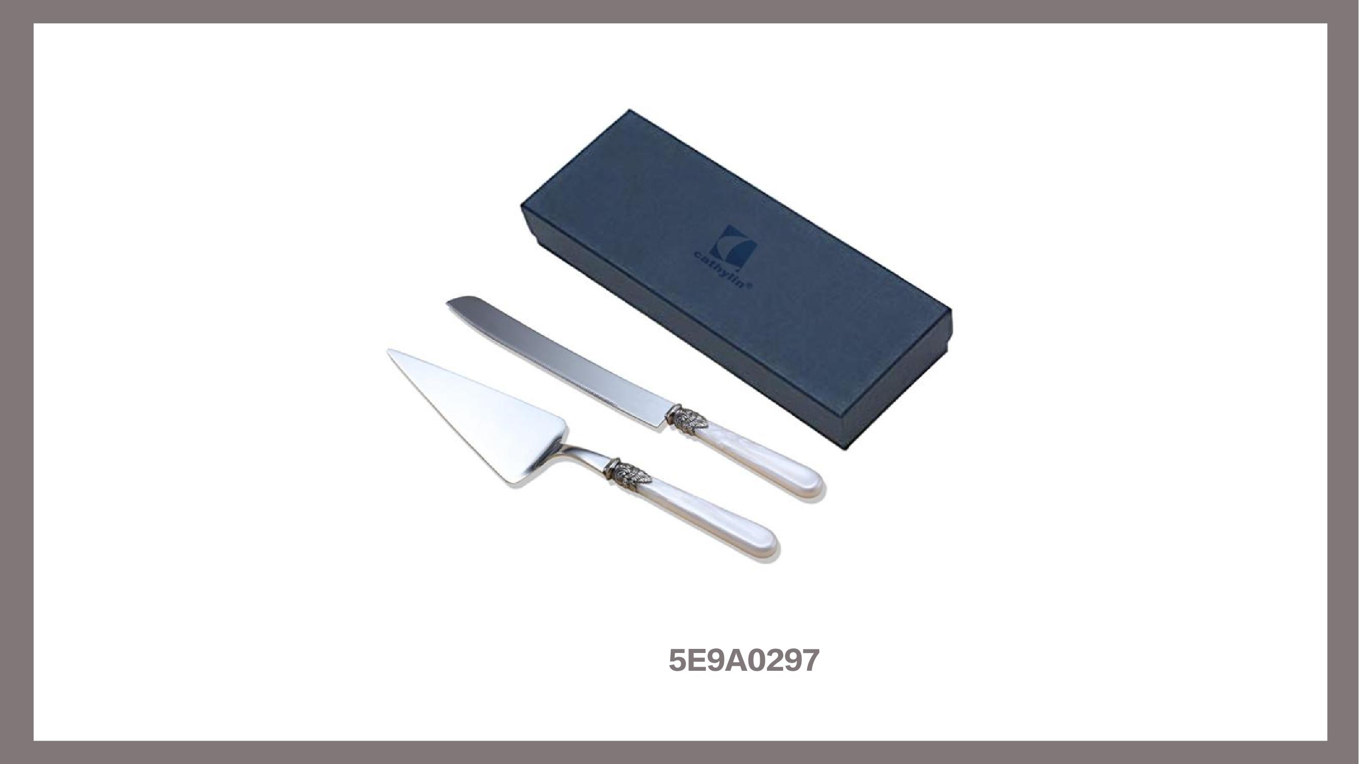 catalogue of plastic handle cutlery_55.jpg