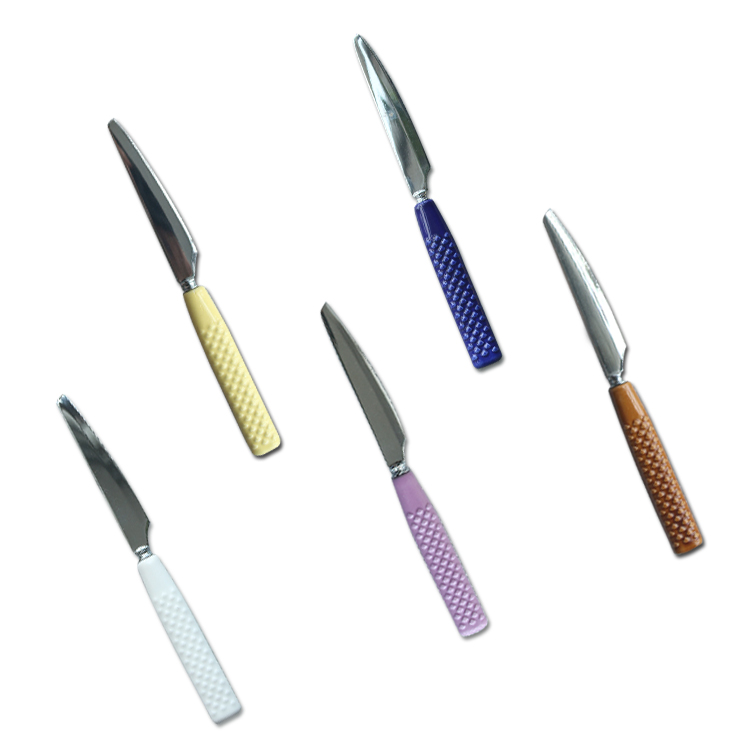 Cathyin 12-Piece Stainless Steel Flatware Ceramic Handle Fruit Knife Cutlery Set
