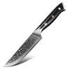 Japanese 10 Inch 67 Layer Stainless Steel Kitchen Chef Damascus Knife with Black Handle