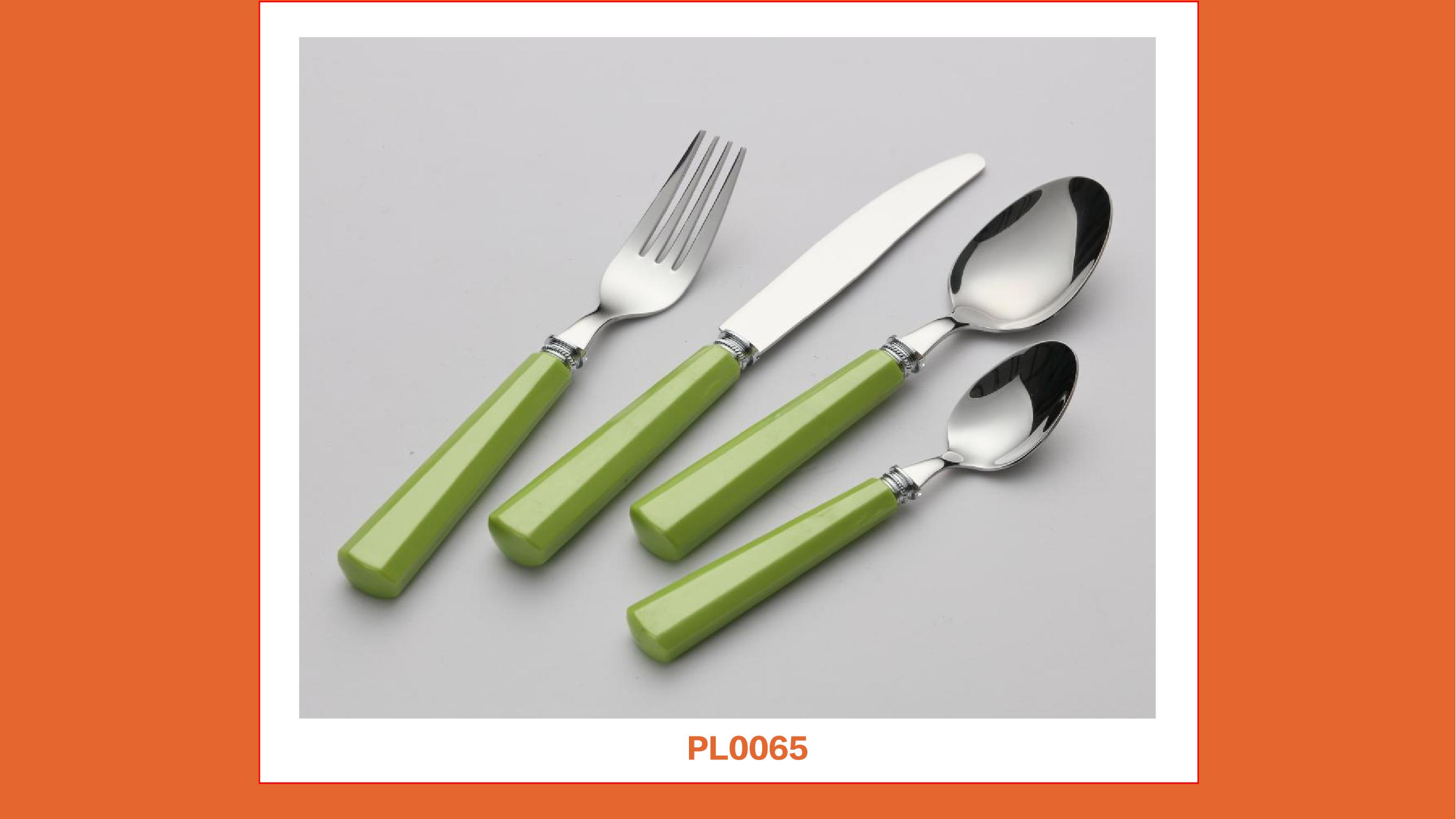 catalogue of plastic handle cutlery_24.jpg